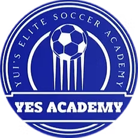 YES Academy Logo LP
